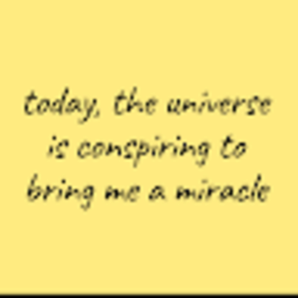 Meet your Posher, Shante